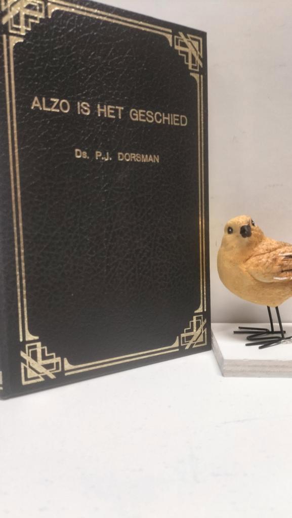Dorsman, Ds. P.J.; Alzo is het geschied, Boeken, Godsdienst en Theologie, Gelezen, Christendom | Protestants, Ophalen of Verzenden