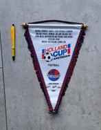 vaantje Holland Cup Amsterdam, Verzamelen, Ophalen of Verzenden, Gebruikt, Overige binnenlandse clubs, Vaantje of Sjaal