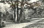 (380-040-011) Leiden Hortus Botanicus, Verzenden, Voor 1920, Zuid-Holland
