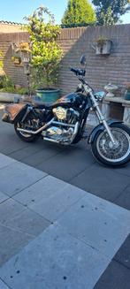 Harley davidson 1200 custom, Motoren, Motoren | Harley-Davidson, Particulier, Chopper