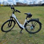 Nieuwe E-Bike Pegasus Evo 10 625 Wh 85 Nm Wit vering, Nieuw, Overige merken, Ophalen of Verzenden, 50 km per accu of meer
