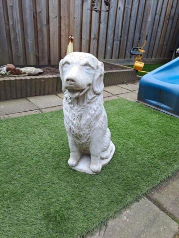 Betonnen tuinbeeld hond beschikbaar voor biedingen