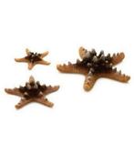 NIEUW: Biorb zeester set - natuurlijk 7,50€, Dieren en Toebehoren, Vissen | Aquaria en Toebehoren, Ophalen of Verzenden, Nieuw
