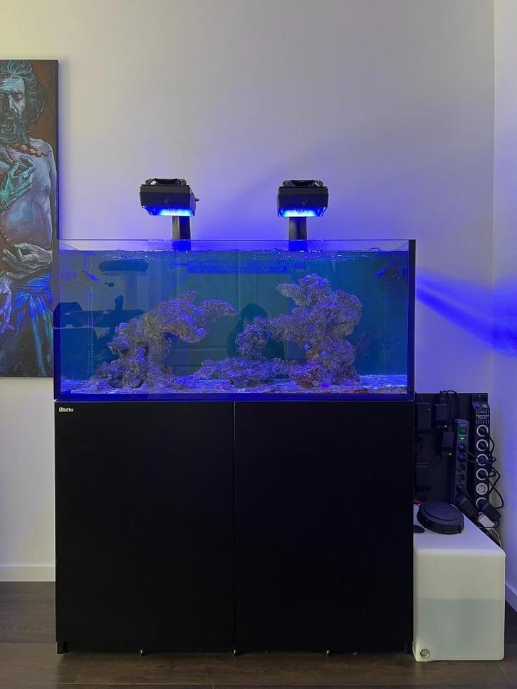 Red Sea REEFER 350 G2+, Dieren en Toebehoren, Vissen | Aquaria en Toebehoren, Zo goed als nieuw, Gevuld zeewateraquarium, Ophalen