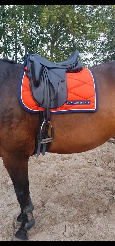 Fairfax Gareth 17 zwart compleet, Dieren en Toebehoren, Paarden en Pony's | Zadels, Zo goed als nieuw, Dressuur, Ophalen of Verzenden
