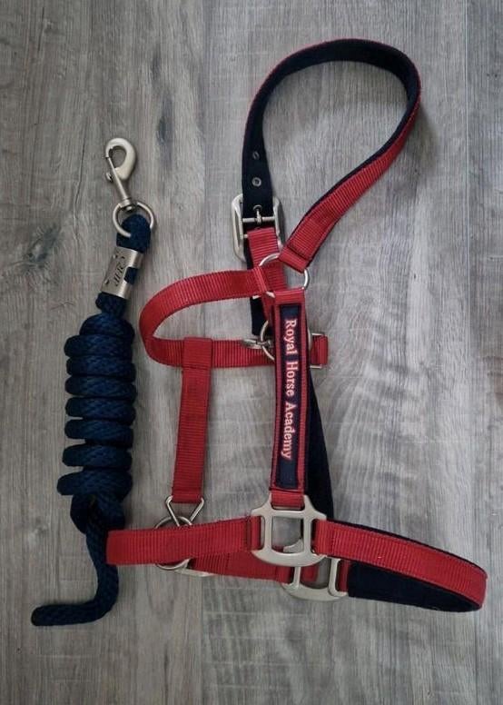 Nieuw | Halster + halstertouw, Dieren en Toebehoren, Ophalen of Verzenden, Nieuw, Overige soorten