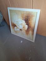 Witte roos., Ophalen, Zo goed als nieuw, Hout