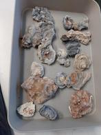 Partij ruwe chalcedoon rozen, Verzamelen, Mineralen en Fossielen, Ophalen of Verzenden, Mineraal