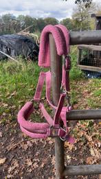 Shetlander halster nieuw!!, Ophalen, Zo goed als nieuw, Overige soorten