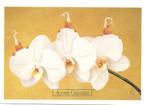 Anne Geddes., Verzenden, Ongelopen