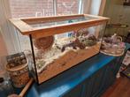 Hamster terrarium /hamster hok incl. Toebehoren, Dieren en Toebehoren, Knaagdieren en Konijnen | Hokken en Kooien, Kooi, Zo goed als nieuw