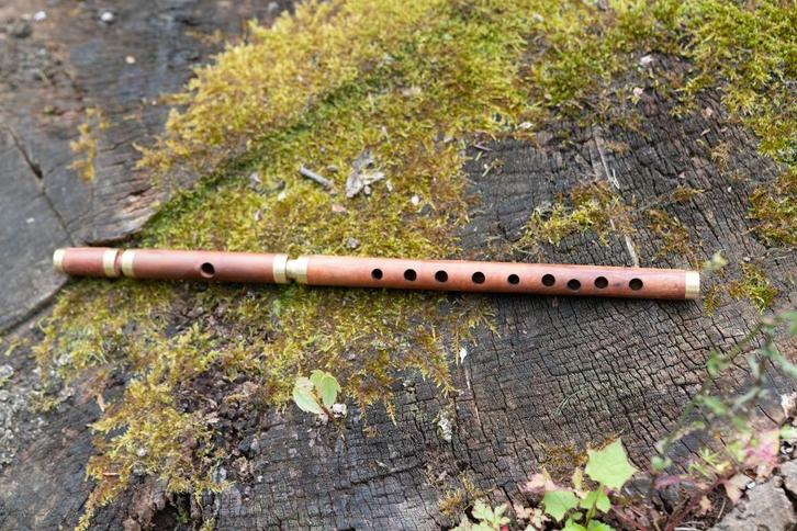 persian ney, Muziek en Instrumenten, Blaasinstrumenten | Overige, Zo goed als nieuw, Houtblazer, Ophalen of Verzenden