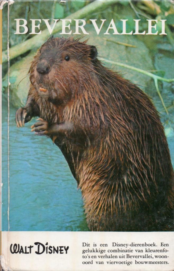 Bevervallei (Walt Disney), Boeken, Natuur, Gelezen, Natuur algemeen, Ophalen of Verzenden