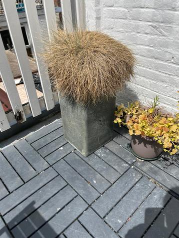 Betonlook planten bak 45 cm beschikbaar voor biedingen