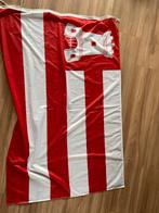 Vlag Alkmaar, Ophalen