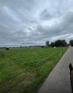 Stalling en weidegang daarle, Stalling