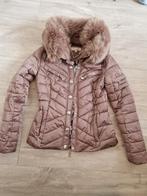 Josh v winter/tussenjas, Kleding | Dames, Jassen | Winter, Bruin, Ophalen of Verzenden, Maat 34 (XS) of kleiner, Josh V