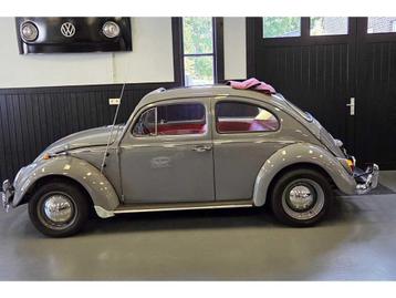 Volkswagen - Kever - Oldtimer beschikbaar voor biedingen