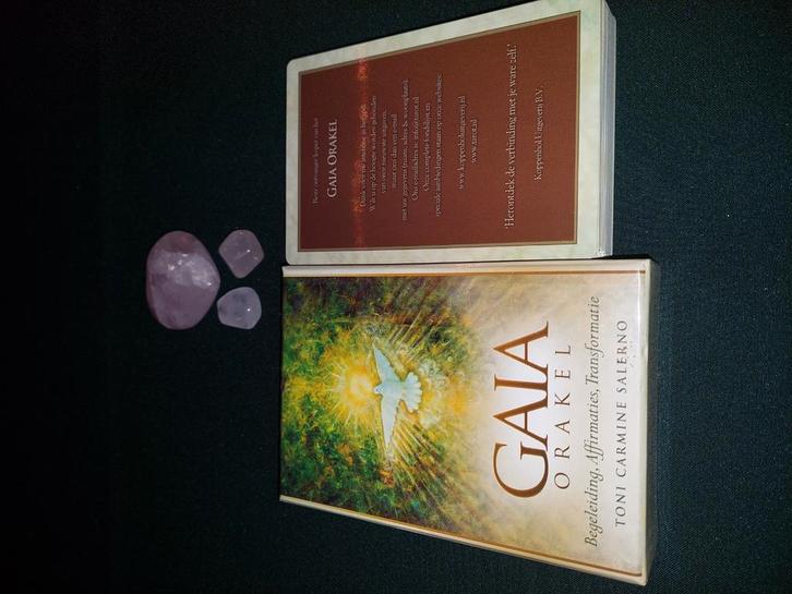 Toni Carmine Salerno - Handleiding, Boeken, Esoterie en Spiritualiteit, Zo goed als nieuw, Overige typen, Tarot of Kaarten leggen