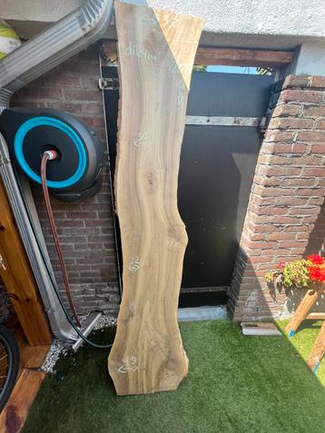 Walnoot Plank KD 200x49x32x37 cm beschikbaar voor biedingen