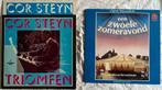 Lp’s van Cor Steyn, het Werkteater een zwoele zomeravond, Ophalen of Verzenden, Gebruikt, 12 inch, Overige genres