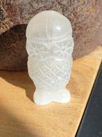 Seleniet uil, Verzamelen, Mineralen en Fossielen, Ophalen of Verzenden, Mineraal