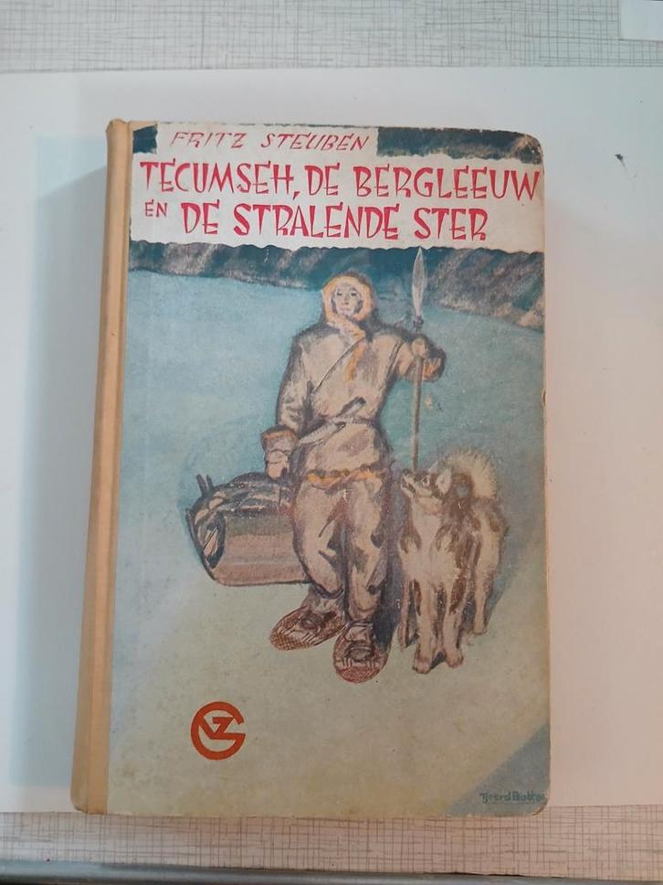 Tecumseh, de Bergleeuw - Fritz Steuben, Boeken, Kinderboeken | Jeugd | onder 10 jaar, Gelezen, Fictie algemeen, Ophalen of Verzenden