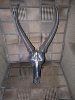 Schedel dier..., Ophalen