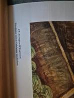 Schoolplaat Columbus - Vaderlandse Geschiedenis, Boeken, Ophalen of Verzenden, Zo goed als nieuw, J.W. de Jongh, H. Wagenvoort