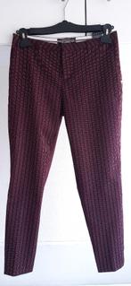 Scotch&Soda dames broek maat S te koop, Kleding | Dames, Overige kleuren, Scotch & Soda, Ophalen of Verzenden, Zo goed als nieuw
