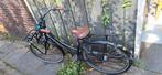 cortina  U4, Fietsen en Brommers, Fietsen | Meisjes, Ophalen, Gebruikt, 26 inch of meer