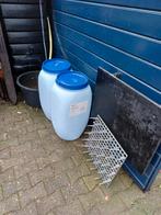 Voertonnen, Vrouwelijk, Postduif