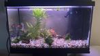 Juwel Aquarium 100 L, Ophalen, Gebruikt, Leeg aquarium