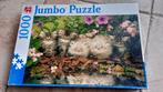 Jumbo puzzel 1000 stukjes, Ophalen, 500 t/m 1500 stukjes, Zo goed als nieuw, Legpuzzel