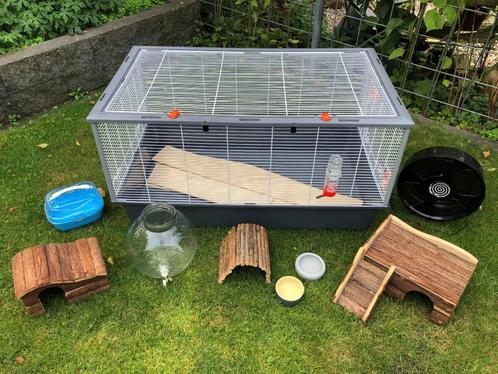 Grootse "Huisdieren" kooi, Dieren en Toebehoren, Knaagdieren en Konijnen | Hokken en Kooien, Zo goed als nieuw, Kooi, Minder dan 60 cm