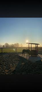 Plek vrij op kleinschalige paddock paradise, Weidegang