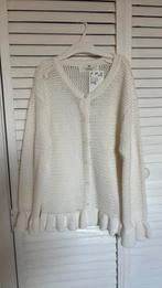 H&M vest maat 134/140 nieuw, Ophalen of Verzenden, Zo goed als nieuw, Meisje, Trui of Vest