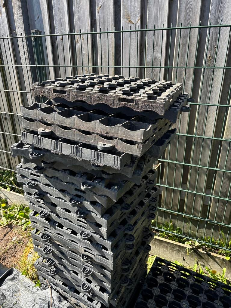 Sedumdakroosters 40 stuks, Tuin en Terras, Ophalen, Overige soorten, Volle zon