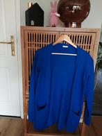 Kobalt blauw Vila dames vest Maat L, Maat 38/40 (M), Blauw, Vila, Ophalen of Verzenden