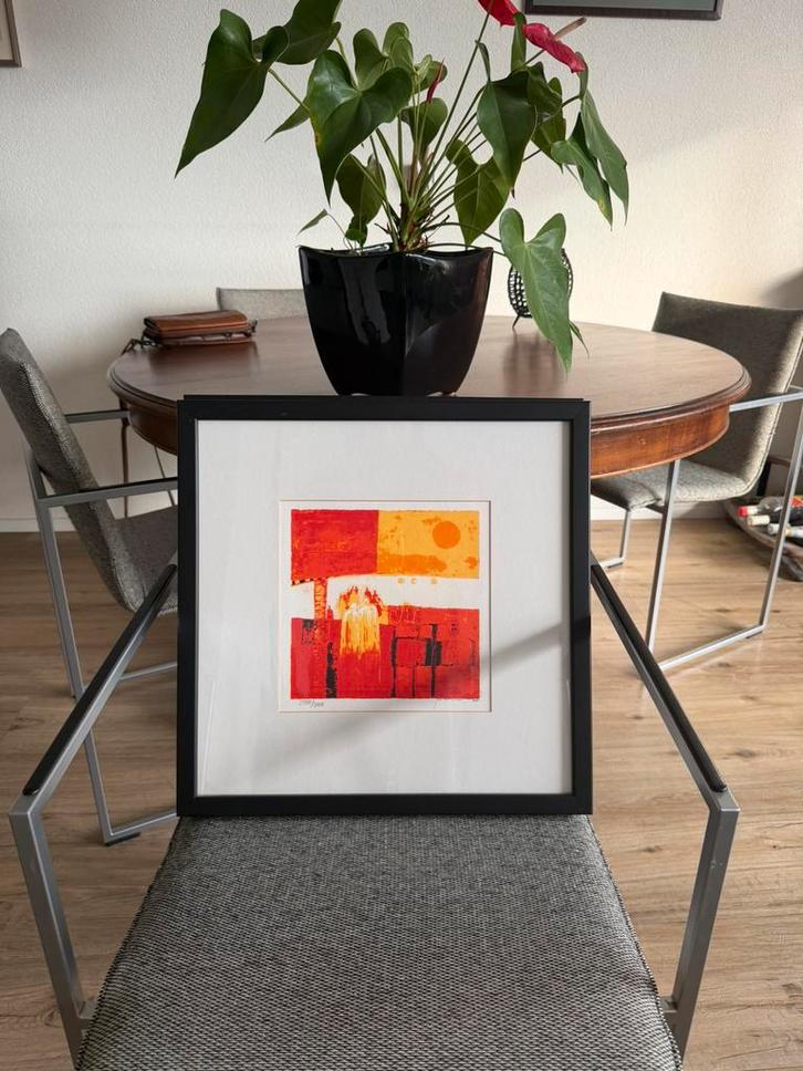 Marjolein van Ginkel zeefdrukken, Antiek en Kunst, Kunst | Schilderijen | Abstract, Ophalen of Verzenden