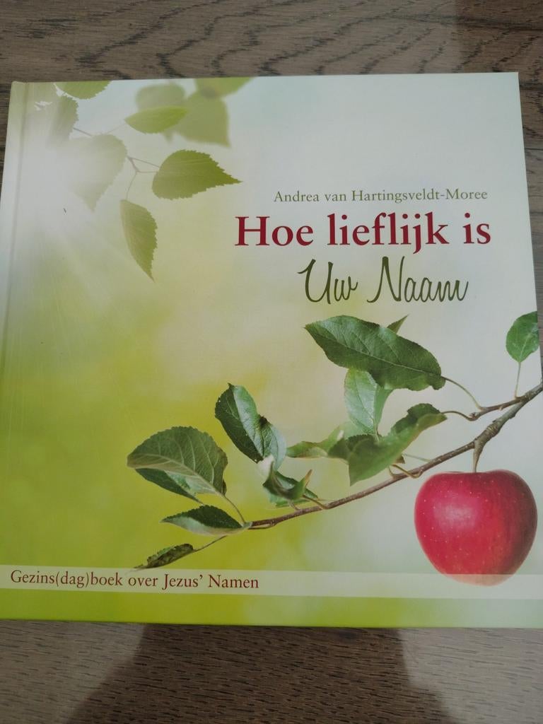 Nieuw! Hoe lieflijk is Uw Naam - over Jezus' Namen, Boeken, Godsdienst en Theologie, Ophalen of Verzenden, Zo goed als nieuw, Andrea van Hartingsveldt-Moree