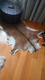 2 splinternieuwe schapenvachten 25 euro per stuk, Ophalen of Verzenden, Rechthoekig, 50 tot 100 cm