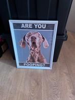 Schilderij 33x43 cm, Minder dan 50 cm, Nieuw, Ophalen of Verzenden, Minder dan 50 cm