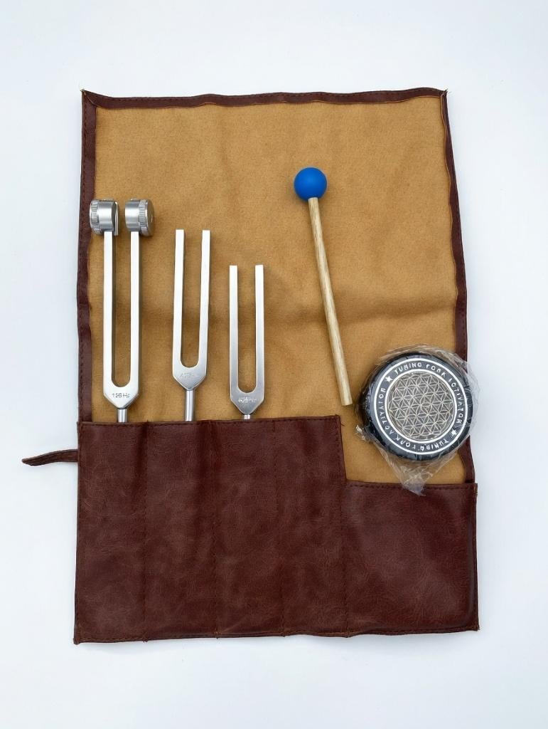 Prachtige complete sound healing set!, Ophalen of Verzenden, Nieuw