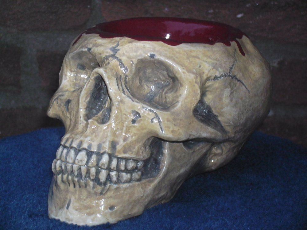open holle menselijke Schedel, bloederige Skull menselijk, Ophalen of Verzenden, Nieuw, Toneelattributen of Onderdelen