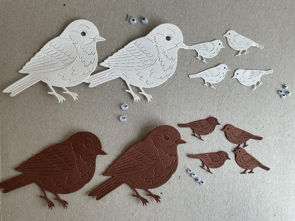 Setje12  vogels met oogjes, Ophalen of Verzenden, Nieuw, Overige thema's, Overige typen