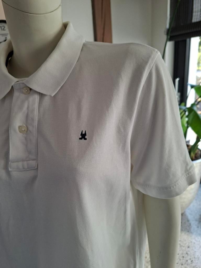Gaastra witte Polo xxl, Gaastra, Wit, Overige maten, Ophalen of Verzenden
