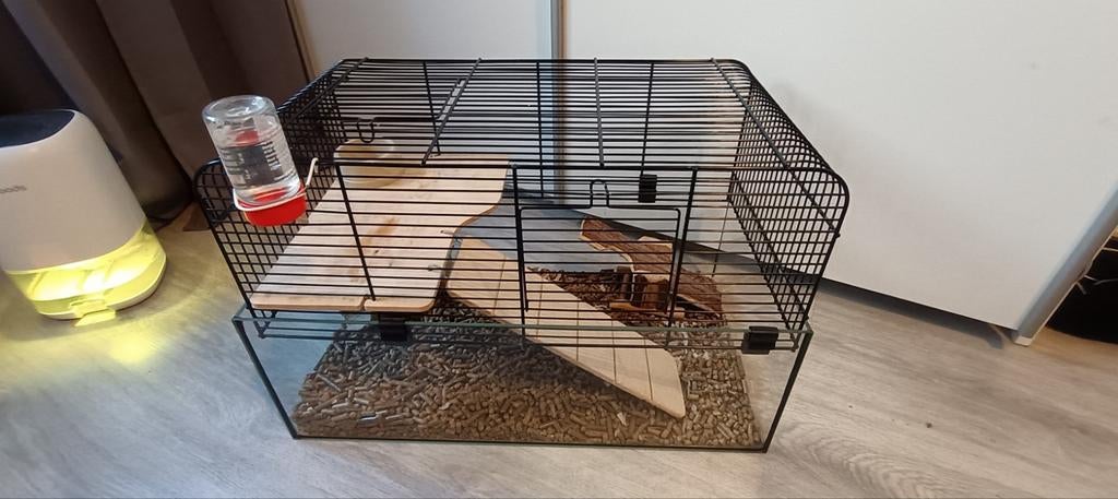 kooi  voor ratje of hamster, Kooi, Gebruikt, Minder dan 75 cm, Muis