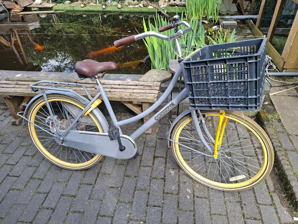 Fiets, Fietsen en Brommers, Fietsen | Dames | Damesfietsen, Terugtraprem, Gebruikt, 47 tot 50 cm, Ophalen