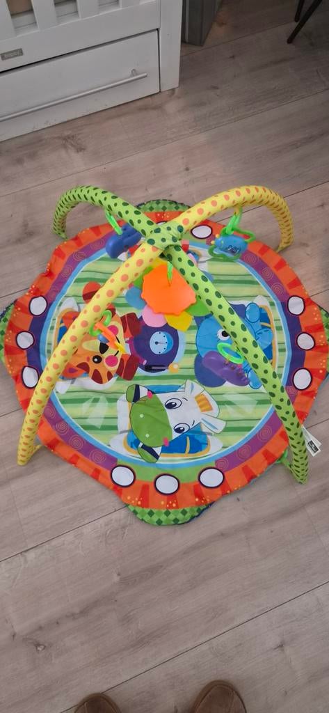 Lorelli Toys speelkleed met bogen - babygym, Kinderen en Baby's, Ophalen